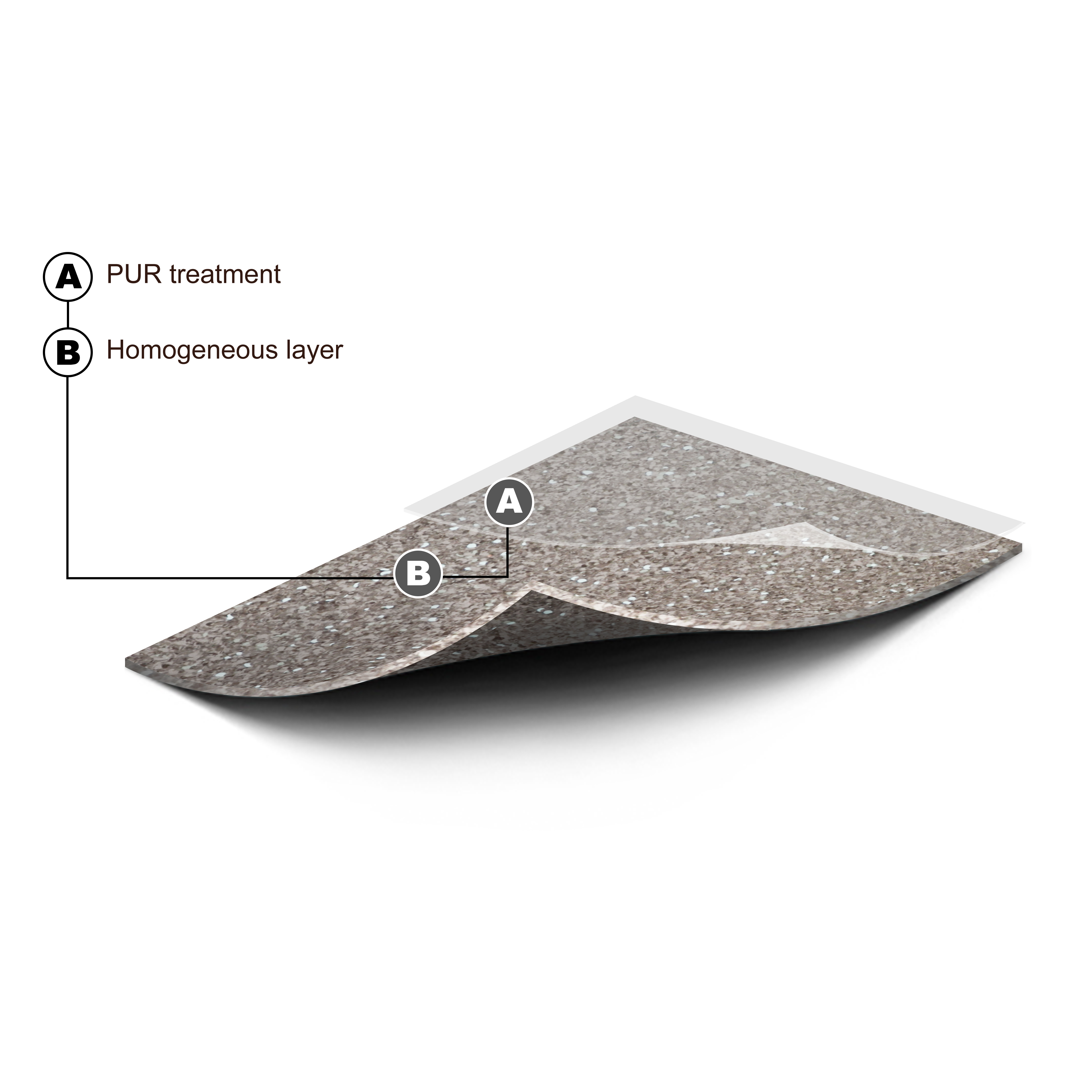 解刨图-同透卷材