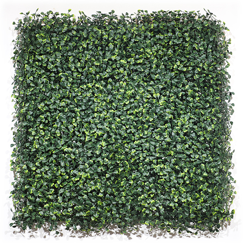 50*50cm Hot-Selling Item Artipisyal na Wall Plant