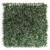 50*50 ס'מ CAPSICICUM GRASS צמח קיר מלאכותי